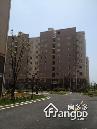 聚缘中庭图片