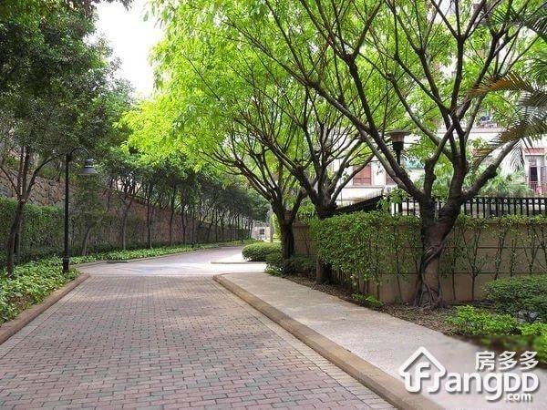 广州雅居乐花园雅逸庭小区图片