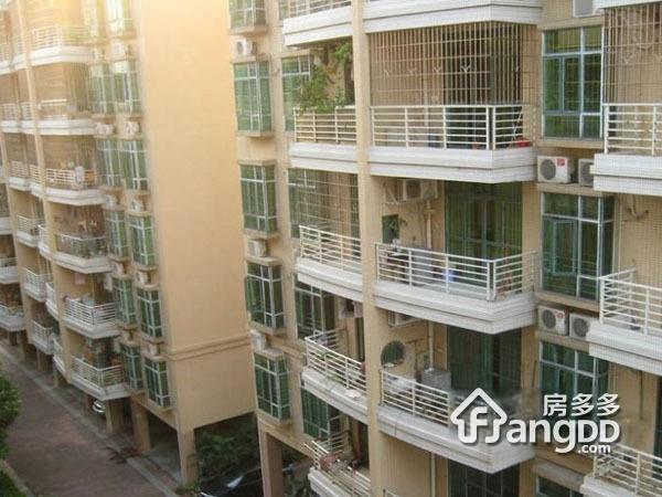花都阳光家园图片