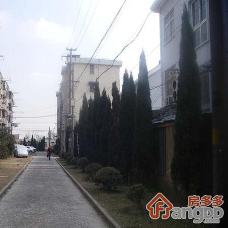 颛溪八村图片