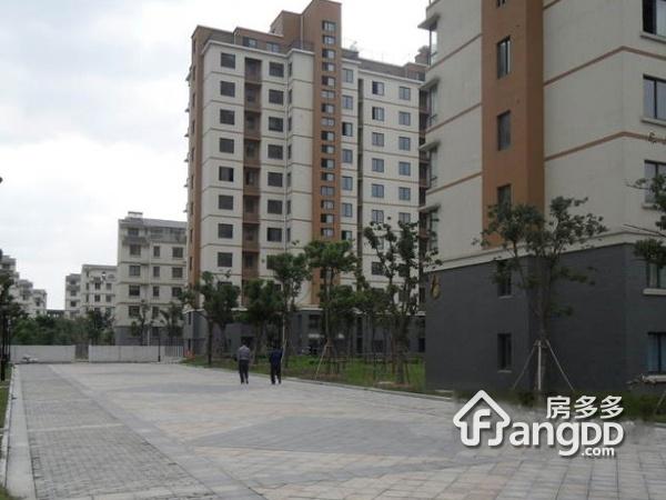 金运花园图片
