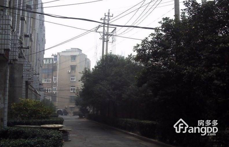 周洼新村图片