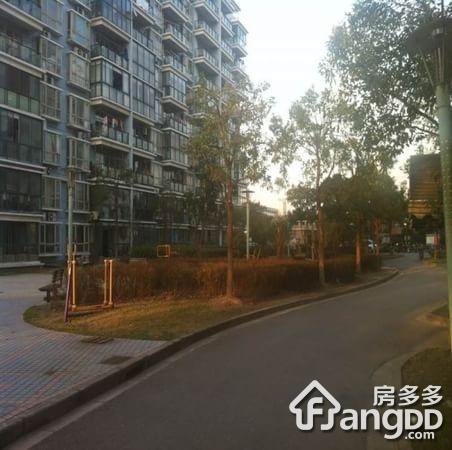 京盛苑小区图片