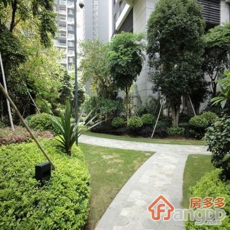 中信红树湾四期(北区)图片
