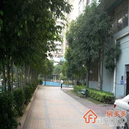 今日丽舍小区图片
