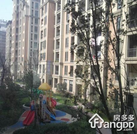 星桥桂花城图片