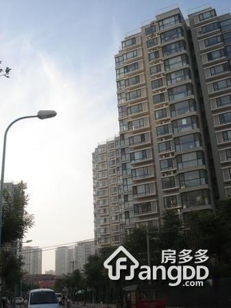 城市之光图片