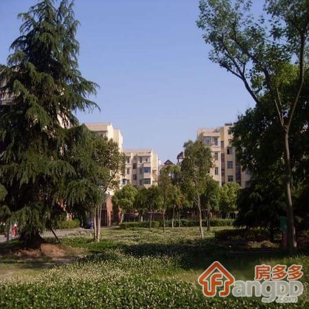 杨家镇小区小区图片
