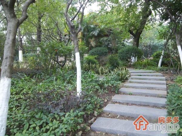 心江南小区图片