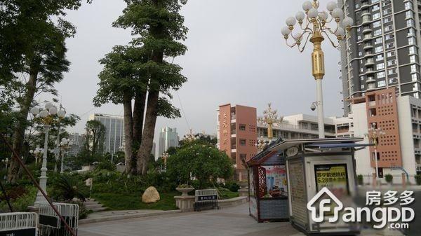 滨江中路小区图片