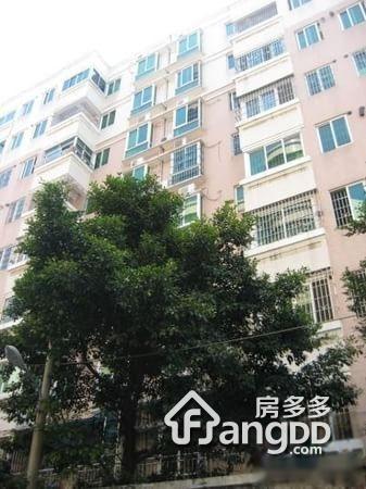 明珠苑图片