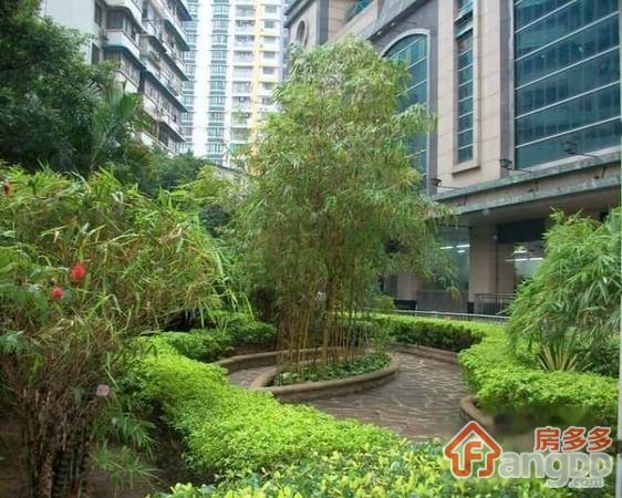 南北广场小区图片