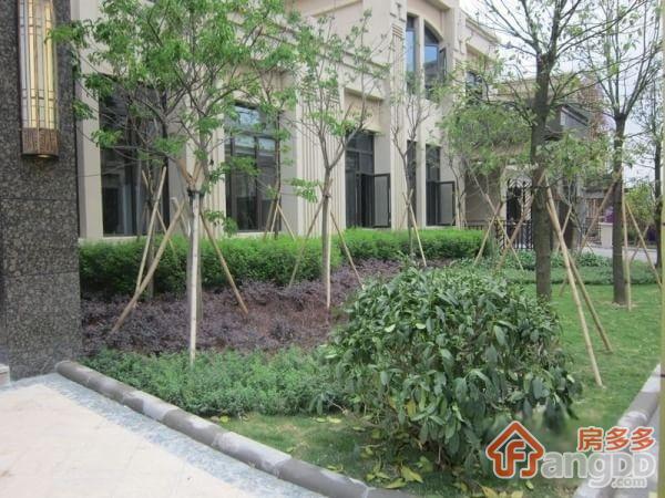 保利高尔夫郡小区图片