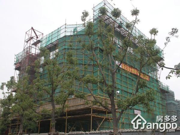 阳光城新界图片