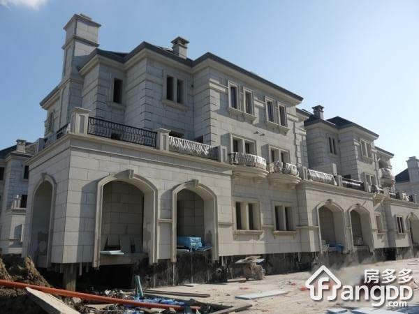 紫金湾图片