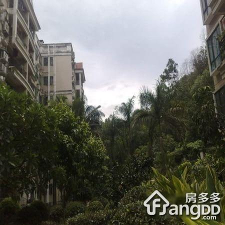 半山翠庭小区图片