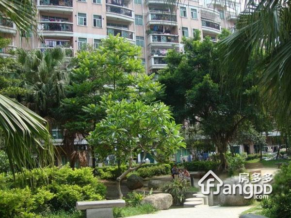 太平洋花园小区图片