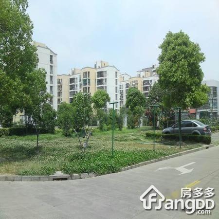 中房公寓小区图片
