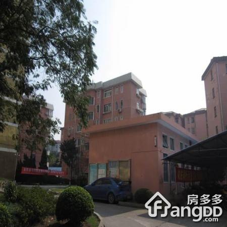 石化八村小区图片