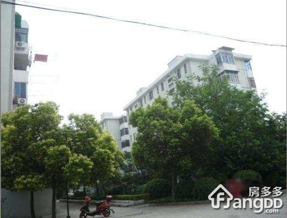 江川一村小区图片