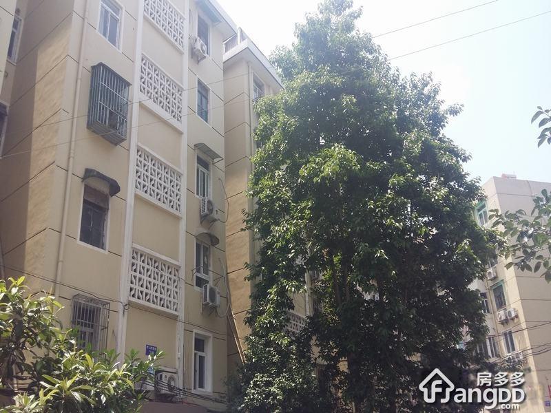 凤凰西街263号小区图片