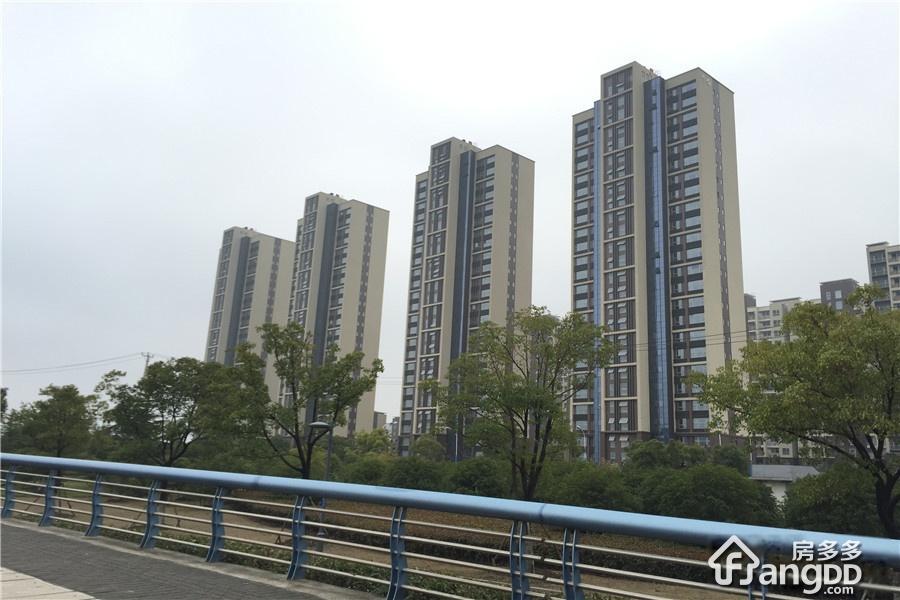 北极星花园图片