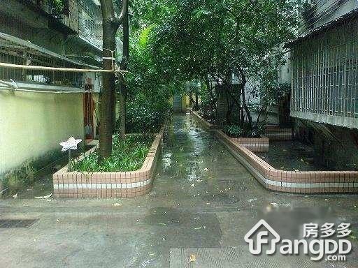 越秀东园新村小区图片