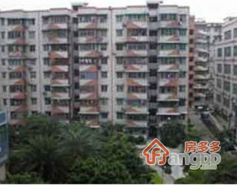 陈岗路11号大院小区图片