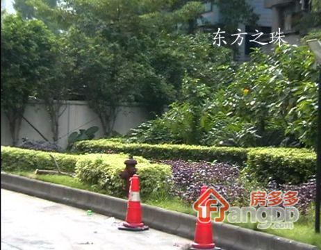 东方之珠花园小区图片