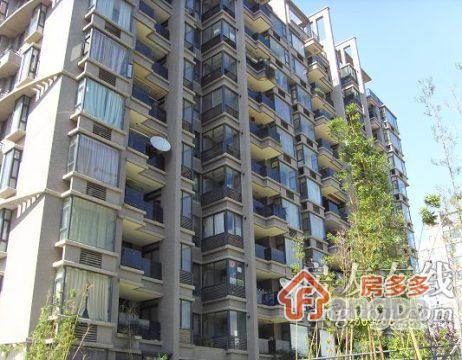 古平岗22号图片