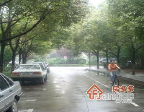 清江花苑清风园图片