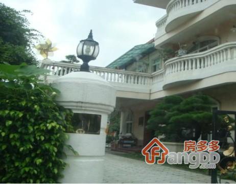 华南碧桂园翠湖居小区图片