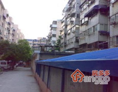 千章巷图片