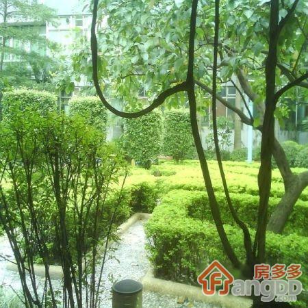 小康人家小区图片