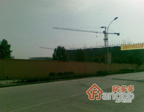 宇扬雨花石文化园图片