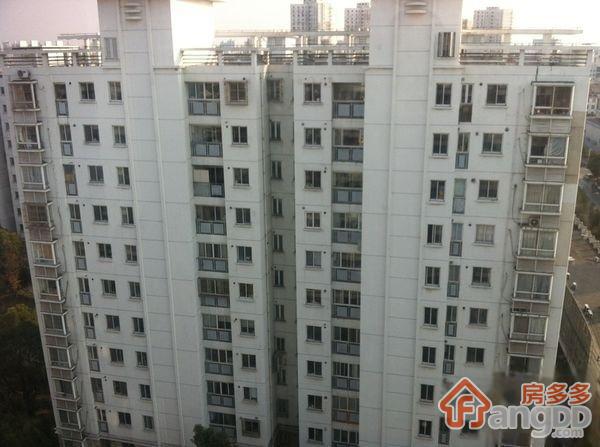 九歌茗园图片