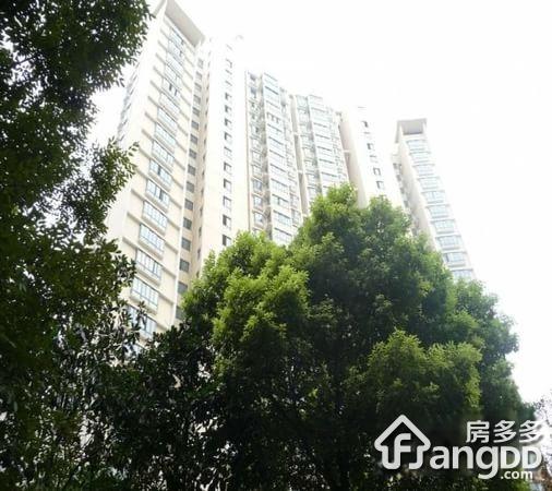 青之杰花园图片