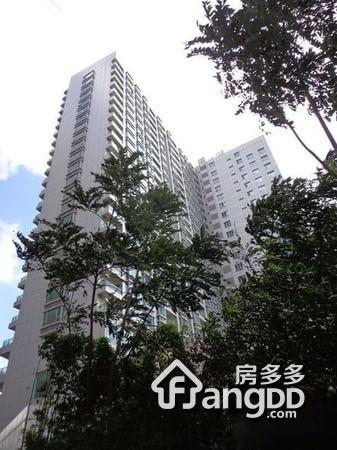 碧瑶行政公寓图片