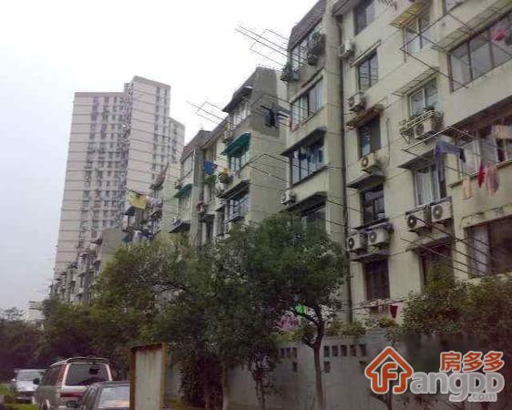 爱国路81号小区图片