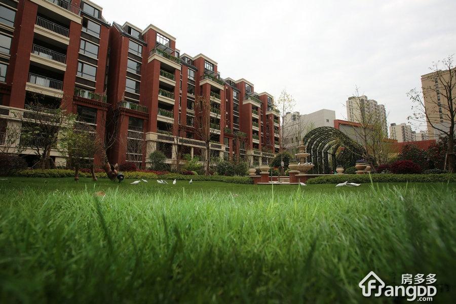 上坤红树湾小区图片