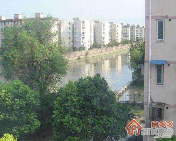 江桥新苑图片