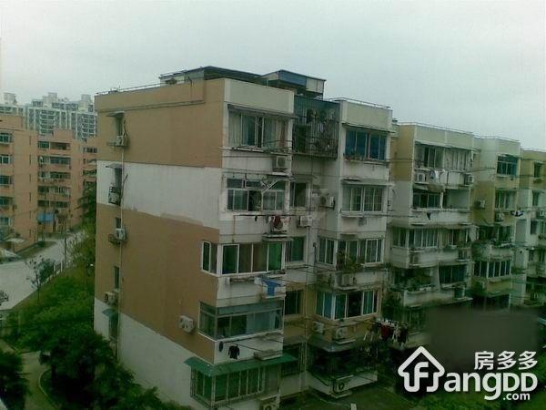 东荷小区小区图片