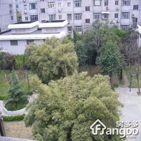 虹桥明珠公寓小区图片