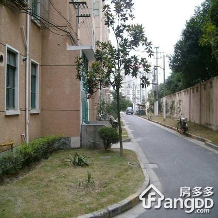 蒲汇新村图片