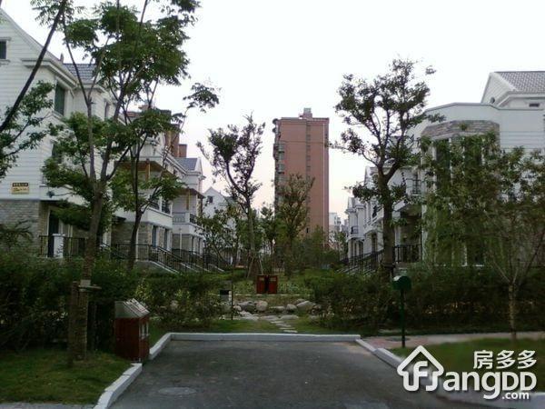 浦发博园(别墅)小区图片