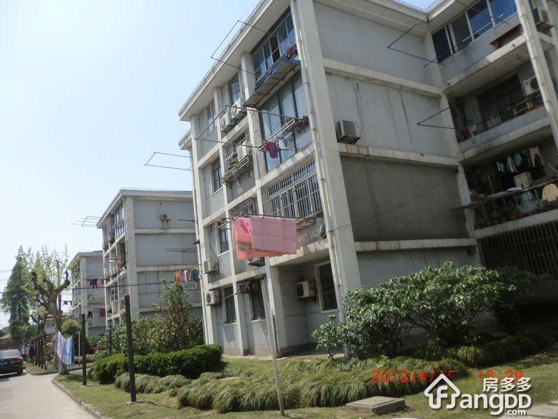 马泾桥四村小区图片