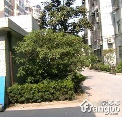 狮城花苑小区图片