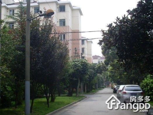 报春四村图片