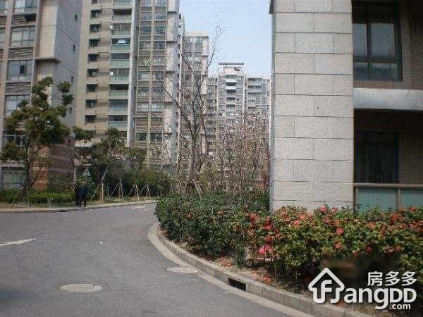 张江汤臣豪园一期(公寓)小区图片