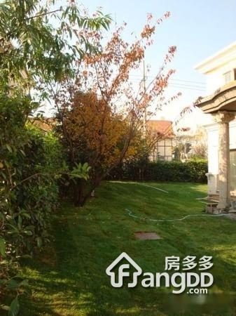 钦州路785弄小区图片